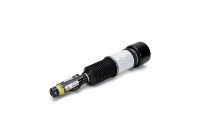 Air Spring Strut