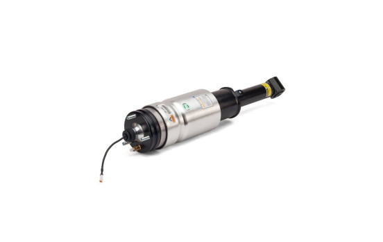 Air Spring Strut
