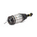 Air Spring Strut