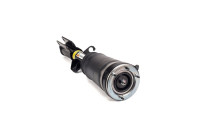 Air Spring Strut