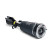 Air Spring Strut