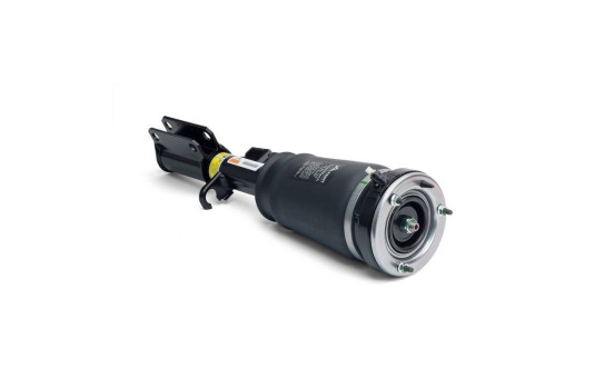 Air Spring Strut