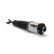 Air Spring Strut