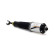 Air Spring Strut