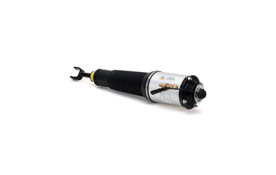Air Spring Strut