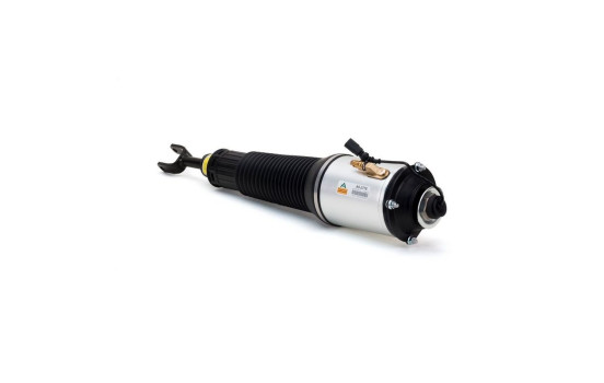 Air Spring Strut