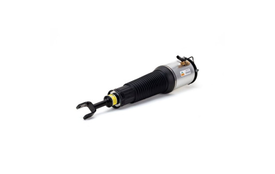 Air Spring Strut, Image 2