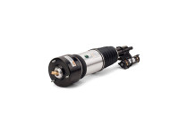 Air Spring Strut