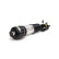 Air Spring Strut
