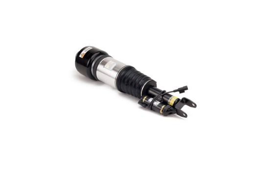 Air Spring Strut, Image 2