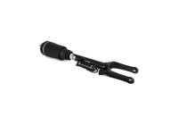 Air Spring Strut