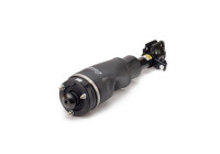 Air Spring Strut