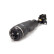 Air Spring Strut