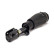 Air Spring Strut, Thumbnail 2