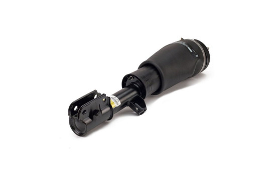 Air Spring Strut, Image 2