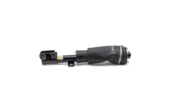 Air Spring Strut, Image 4