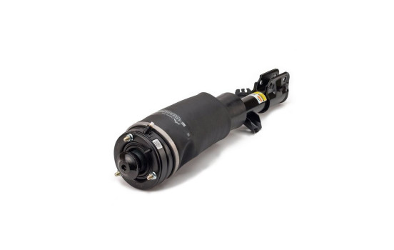 Air Spring Strut