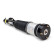 Air Spring Strut
