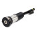 Air Spring Strut
