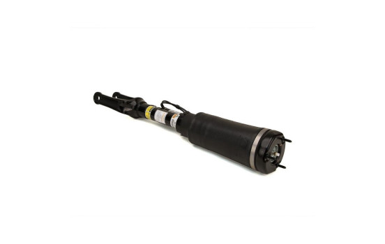 Air Spring Strut, Image 4
