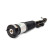 Air Spring Strut