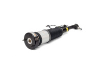 Air Spring Strut