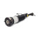 Air Spring Strut