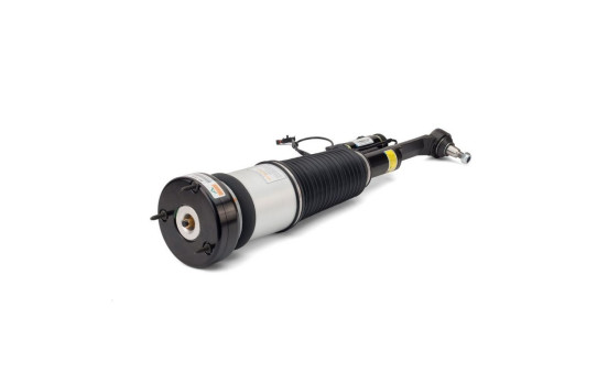 Air Spring Strut