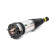 Air Spring Strut