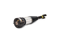 Air Spring Strut