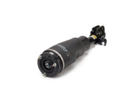 Air Spring Strut