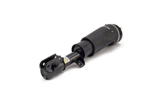 Air Spring Strut, Image 2