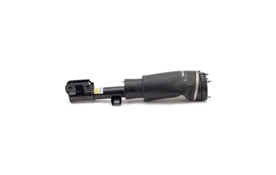 Air Spring Strut, Image 4