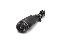 Air Spring Strut