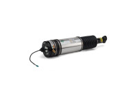 Air Spring Strut