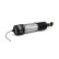 Air Spring Strut