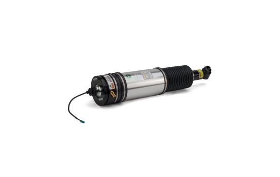Air Spring Strut