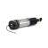 Air Spring Strut