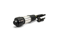 Air Spring Strut
