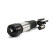 Air Spring Strut