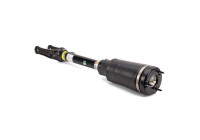 Air Spring Strut