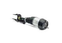 Air Spring Strut