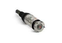 Air Spring Strut