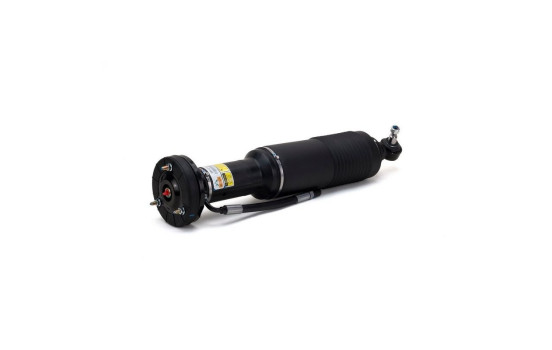 Air Spring Strut, Image 2