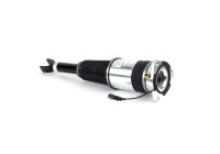 Air Spring Strut