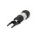 Air Spring Strut, Thumbnail 2