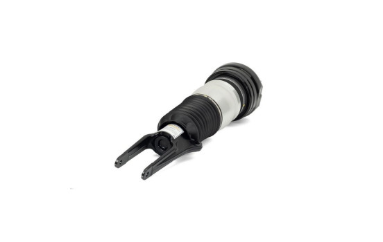 Air Spring Strut, Image 2