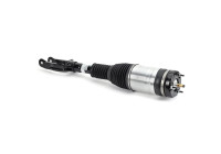 Air Spring Strut