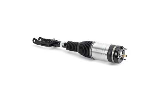 Air Spring Strut