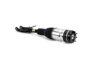 Air Spring Strut